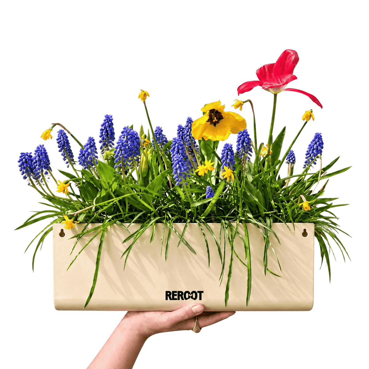 Complete Planting Kit