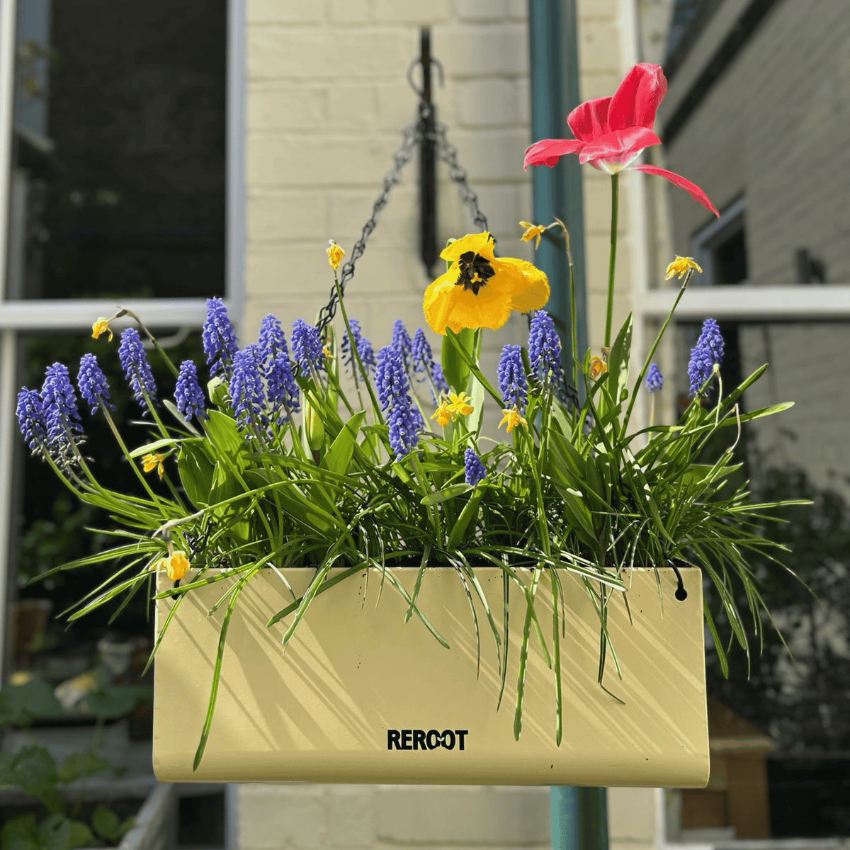 Complete Planting Kit