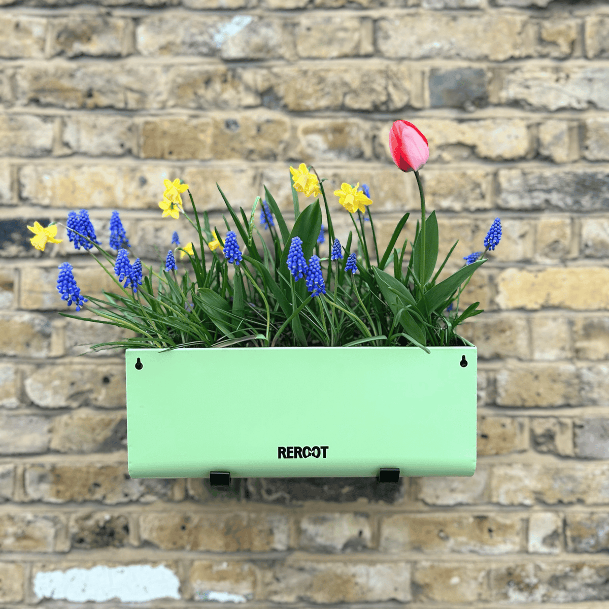 Complete Planting Kit