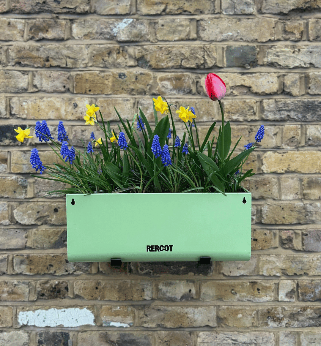 A mint green stainless steel ReRoot wall-mounted planter box with black brackets, filled with green foliage, blue grape hyacinths, yellow daffodils, and tulips, set against a rustic brick wall.