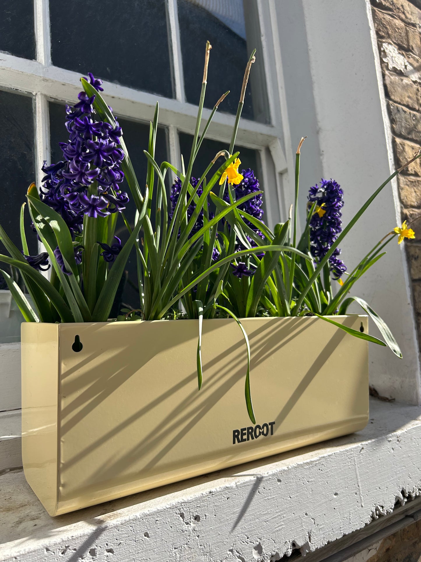 Complete Planting Kit