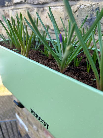 Complete Planting Kit