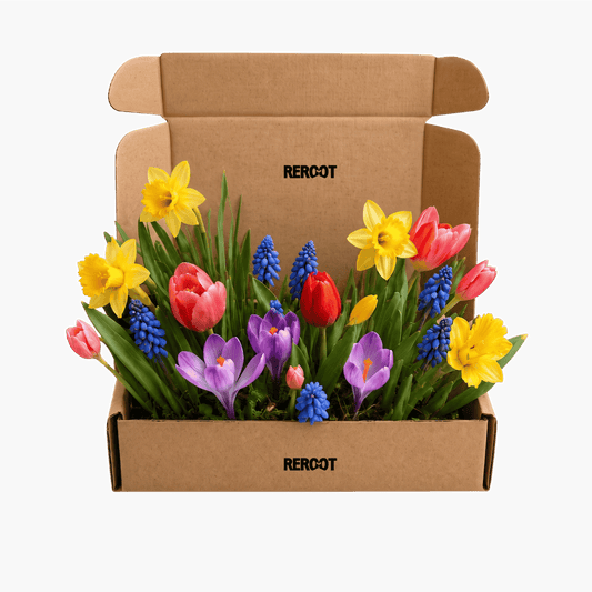 Seasonal Refill Kit