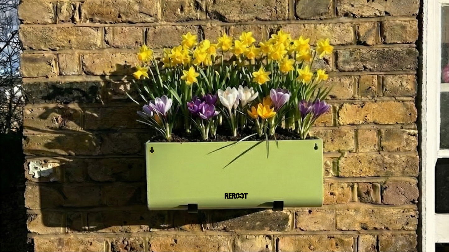 ReRoot Adaptable Mount