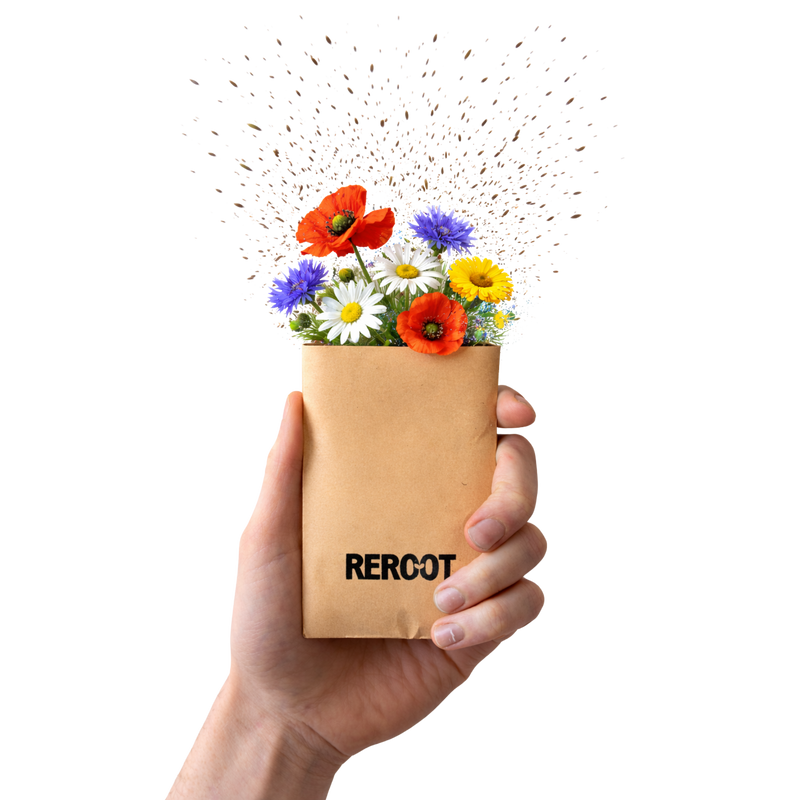 'Not Weed' Wildflower Seeds